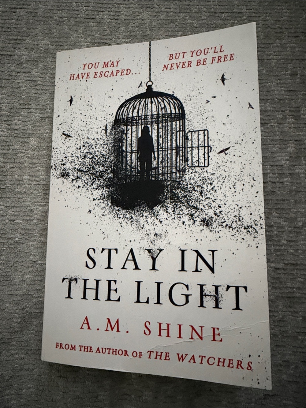 Stay in the Light by A.M. Shine - White & Black Cover